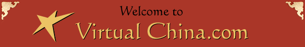 Welcome to Virtual China